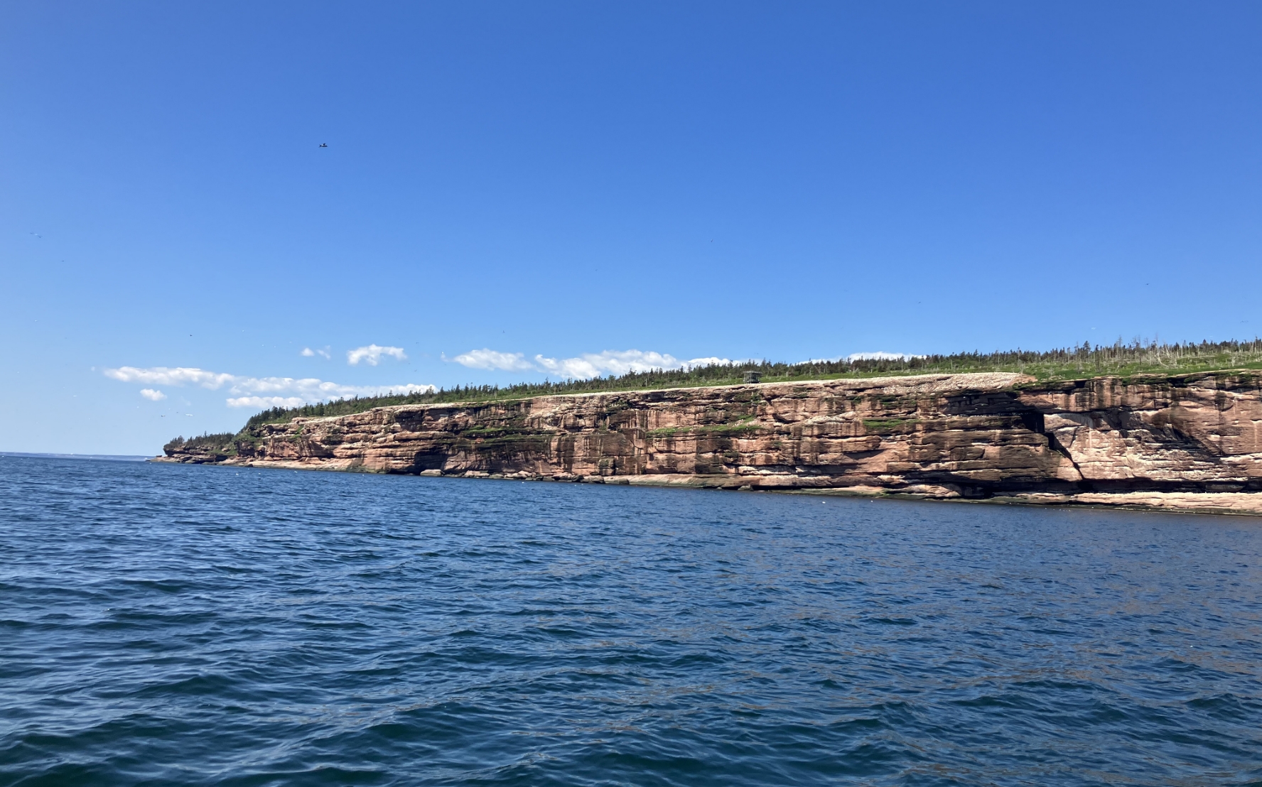Longues falaises rocheuses bordant le golfe du Saint-Laurent dans le parc national Forillon en Gaspésie.