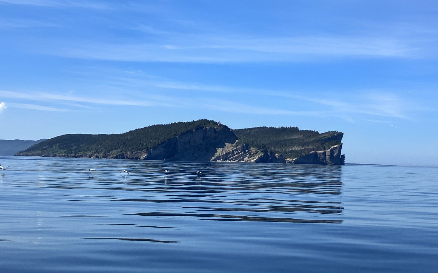 Vue du Cap Gaspé et de ses falaises depuis le golfe du Saint-Laurent par une journée calme.